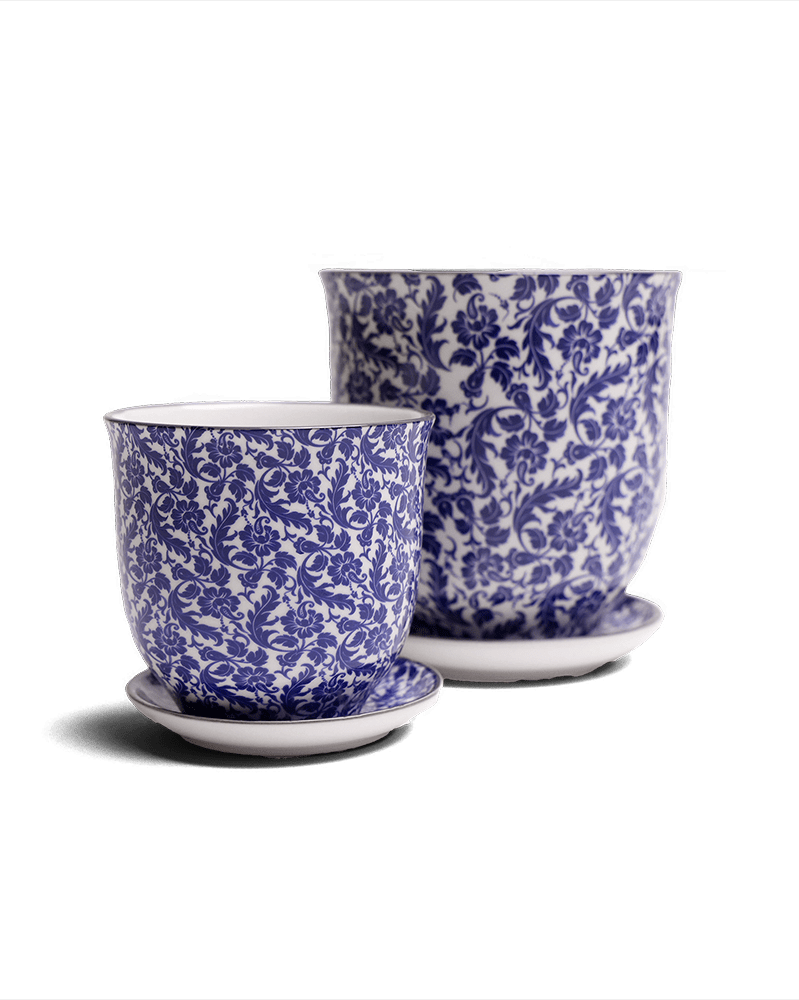 Liberte Porcelain Pot And Saucer Set With Drainage - Chive UK Wholesale