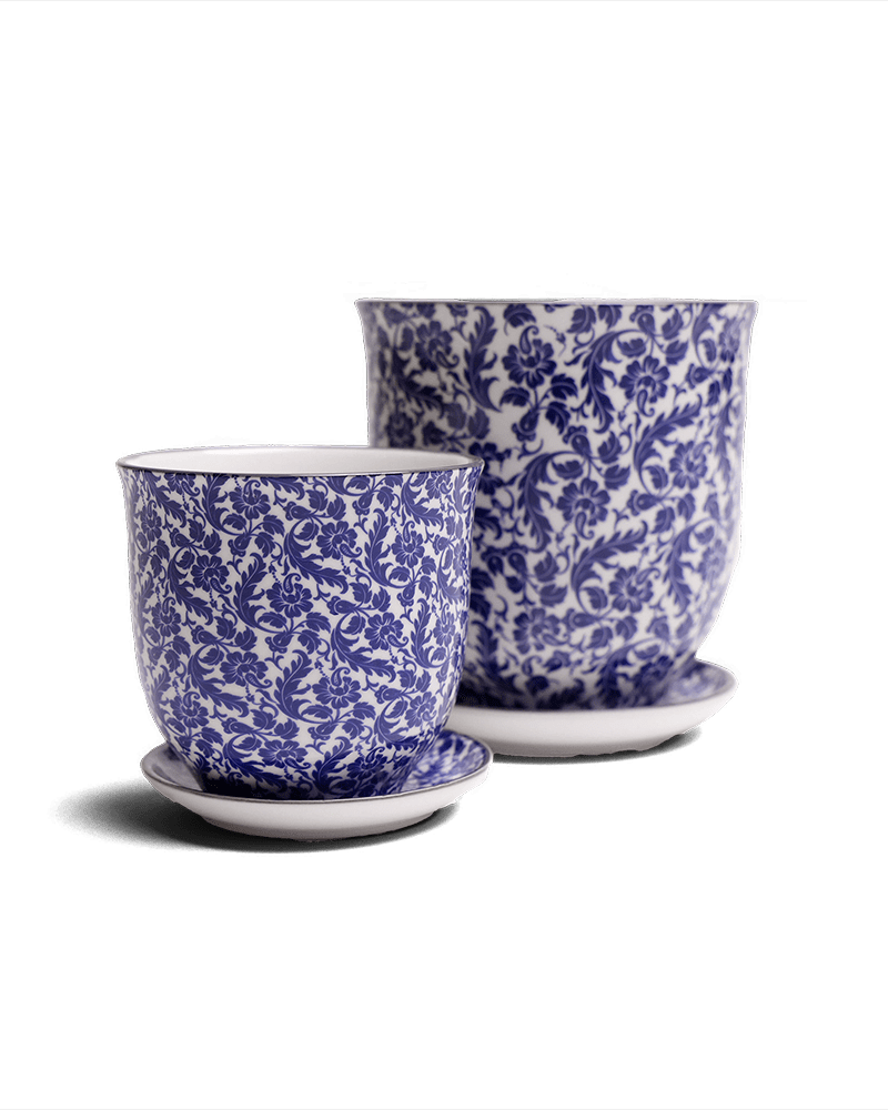 Liberte Porcelain Pot And Saucer Set With Drainage - Chive UK Wholesale