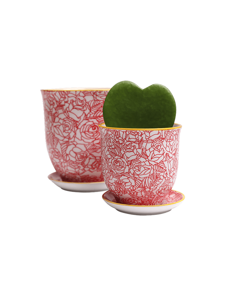 Liberte Porcelain Pot And Saucer Set With Drainage - Chive UK Wholesale