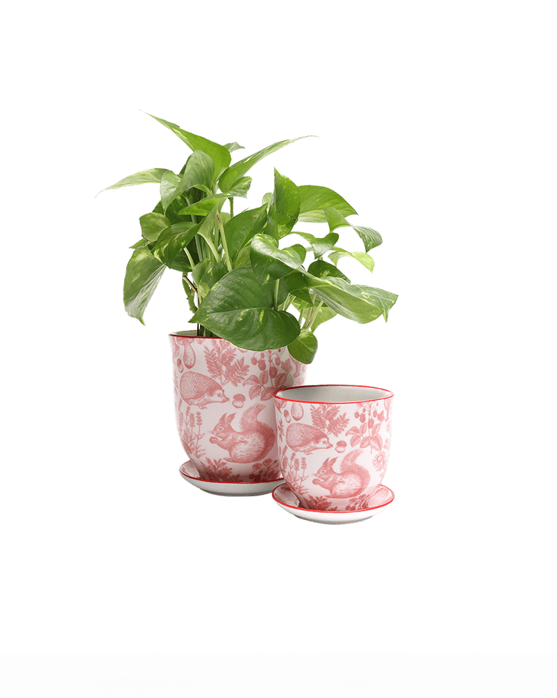Liberte Porcelain Pot And Saucer Set With Drainage - Chive UK Wholesale