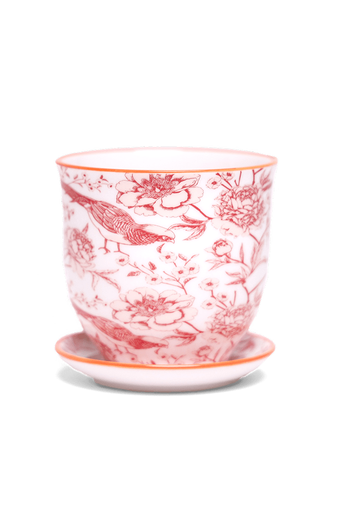 Liberte 5 Porcelain Pot And Saucer With Drainage - Chive UK Wholesale