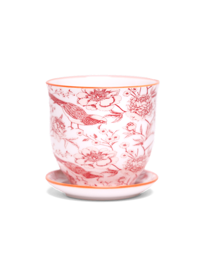 Liberte 5 Porcelain Pot And Saucer With Drainage - Chive UK Wholesale