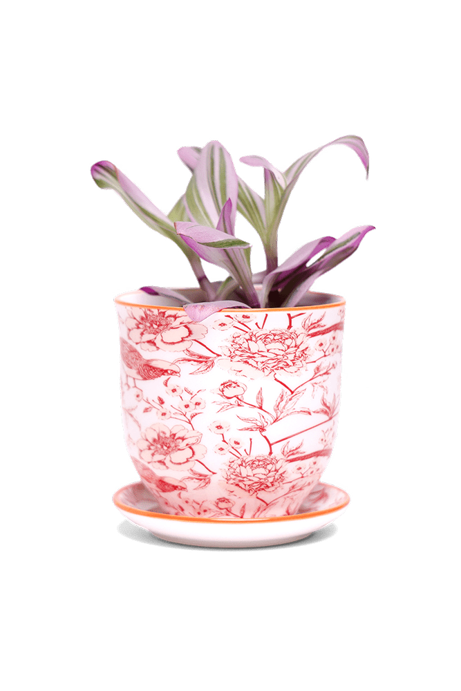 Liberte 5 Porcelain Pot And Saucer With Drainage - Chive UK Wholesale