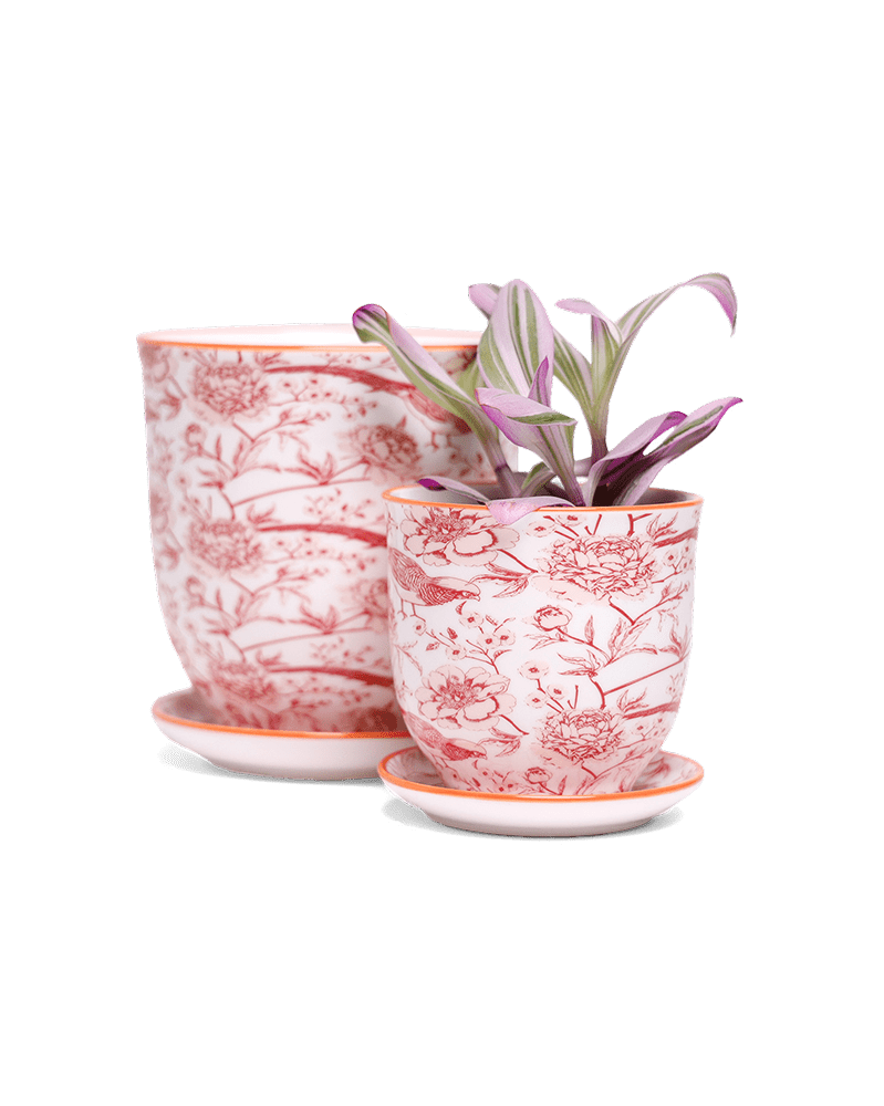 Liberte 5 Porcelain Pot And Saucer With Drainage - Chive UK Wholesale
