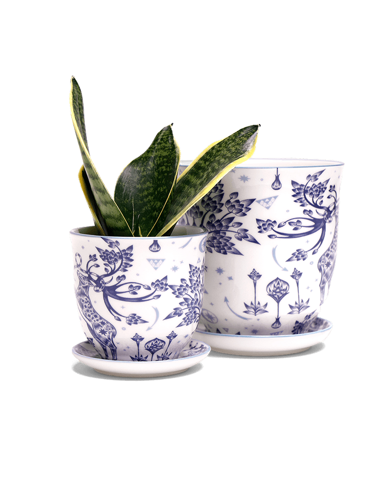 Liberte 5 Porcelain Pot And Saucer With Drainage - Chive UK Wholesale