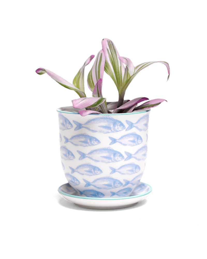 Liberte 5 Porcelain Pot And Saucer With Drainage - Chive UK Wholesale