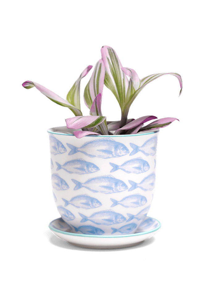 Liberte 5 Porcelain Pot And Saucer With Drainage - Chive UK Wholesale