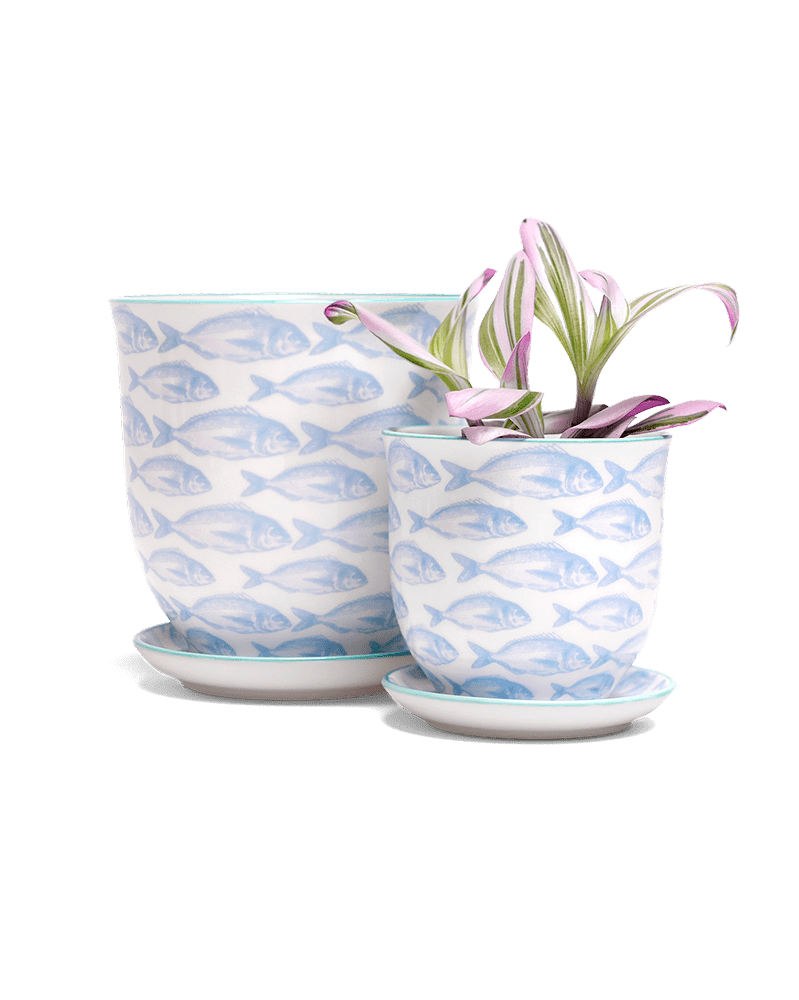 Liberte 5 Porcelain Pot And Saucer With Drainage - Chive UK Wholesale