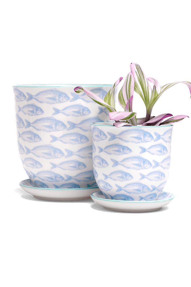 Liberte 5 Porcelain Pot And Saucer With Drainage - Chive UK Wholesale