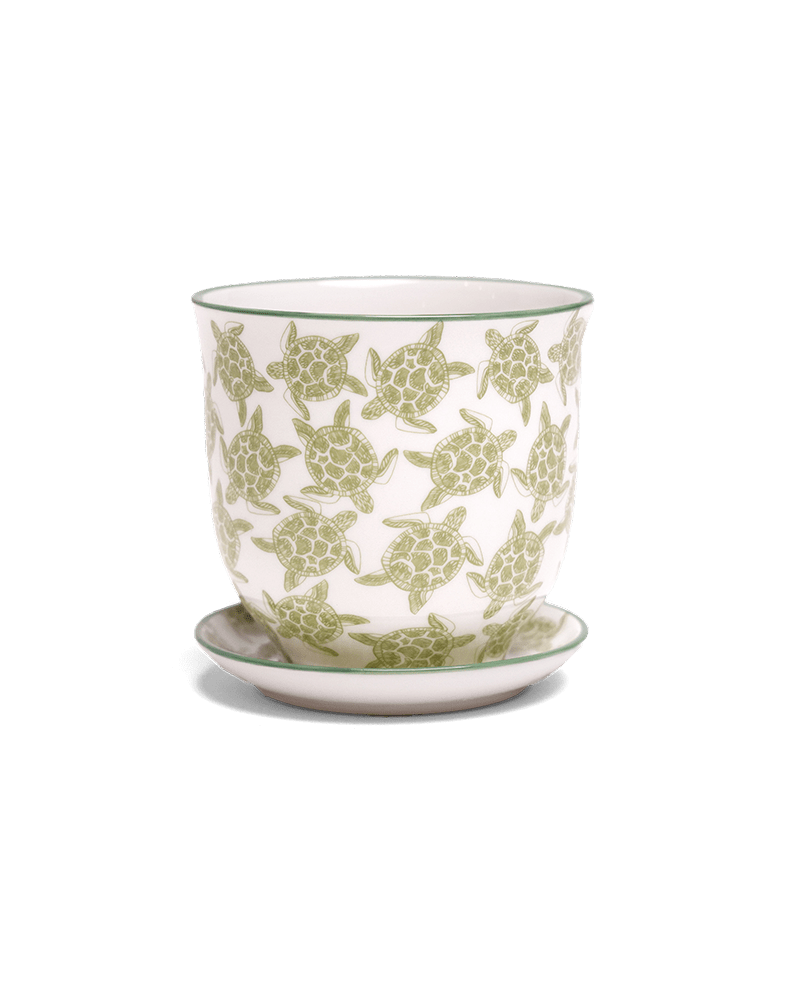 Liberte Porcelain Pot And Saucer Set With Drainage - Chive UK Wholesale