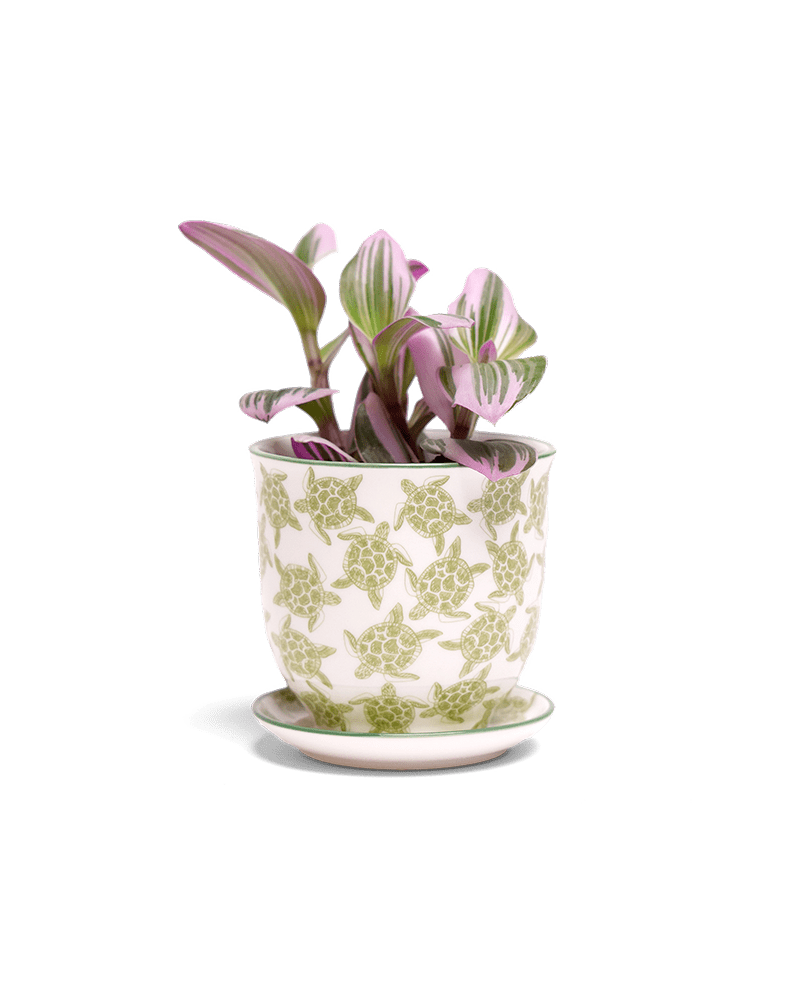 Liberte Porcelain Pot And Saucer Set With Drainage - Chive UK Wholesale