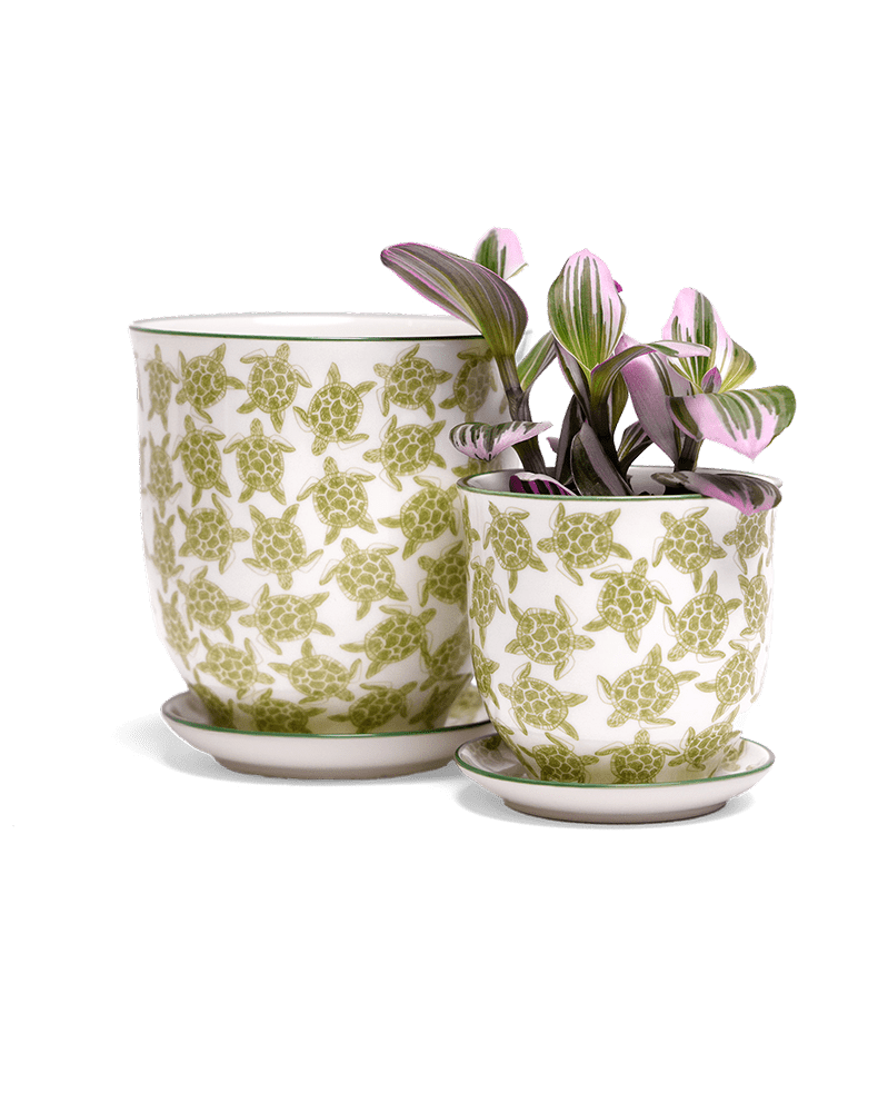 Liberte Porcelain Pot And Saucer Set With Drainage - Chive UK Wholesale