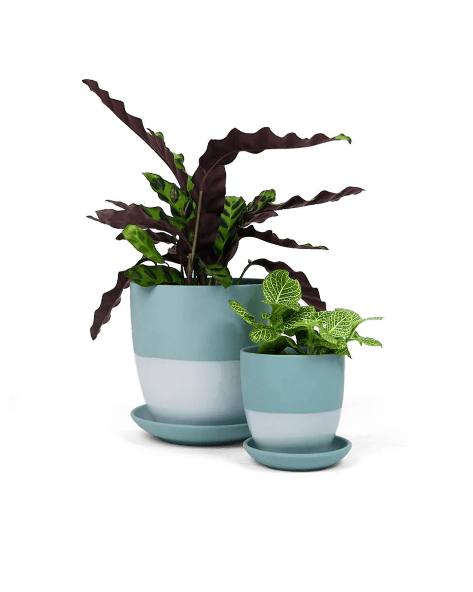 Dyad Porcelain Modern Indoor Plant Pot With Saucer Kits - Chive UK Wholesale