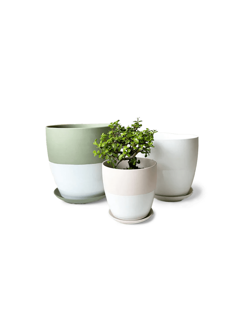 Dyad Porcelain Modern Indoor Plant Pot With Saucer Kits - Chive UK Wholesale