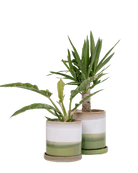 Minute Ceramic Pot And Saucer Set With Drainage - Chive UK Wholesale