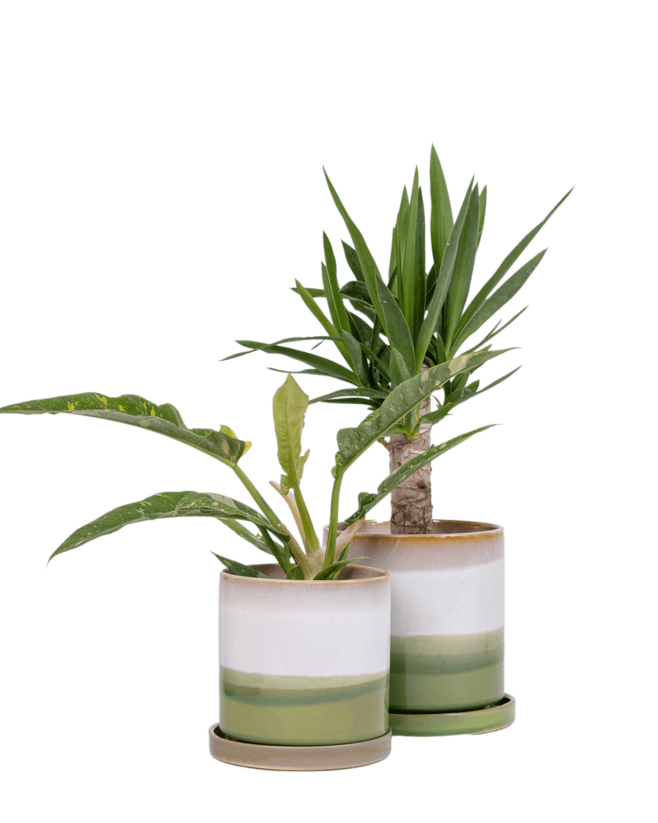 Minute Ceramic Pot And Saucer Set With Drainage - Chive UK Wholesale