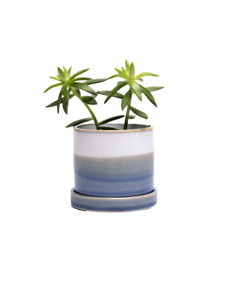 Minute Ceramic Pot And Saucer Set With Drainage - Chive UK Wholesale