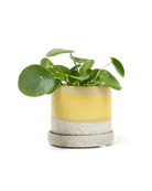 Minute Ceramic Pot And Saucer Set With Drainage - Chive UK Wholesale