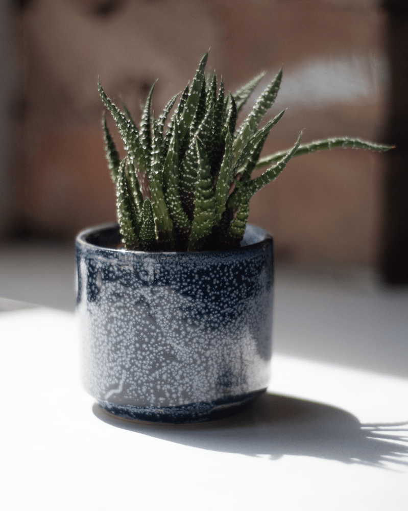 Minute Ceramic Pot And Saucer Set With Drainage - Chive UK Wholesale