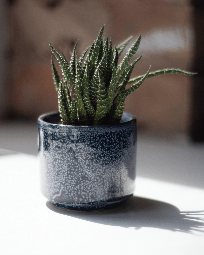 Minute Ceramic Pot And Saucer Set With Drainage - Chive UK Wholesale