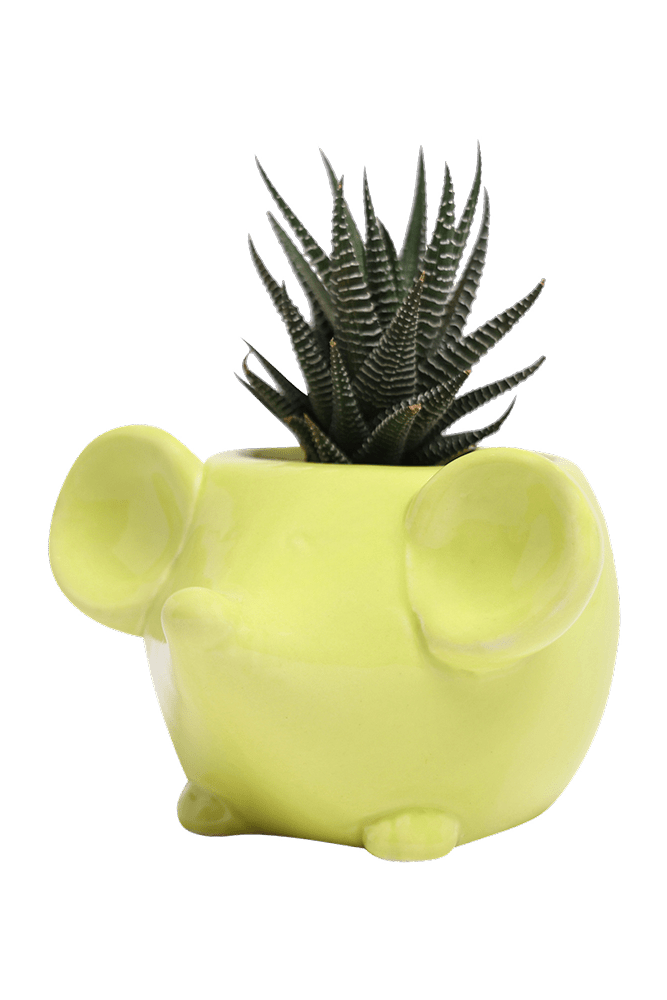 Mouse Ceramic Indoor Plant Pot For Succulents - Chive UK Wholesale