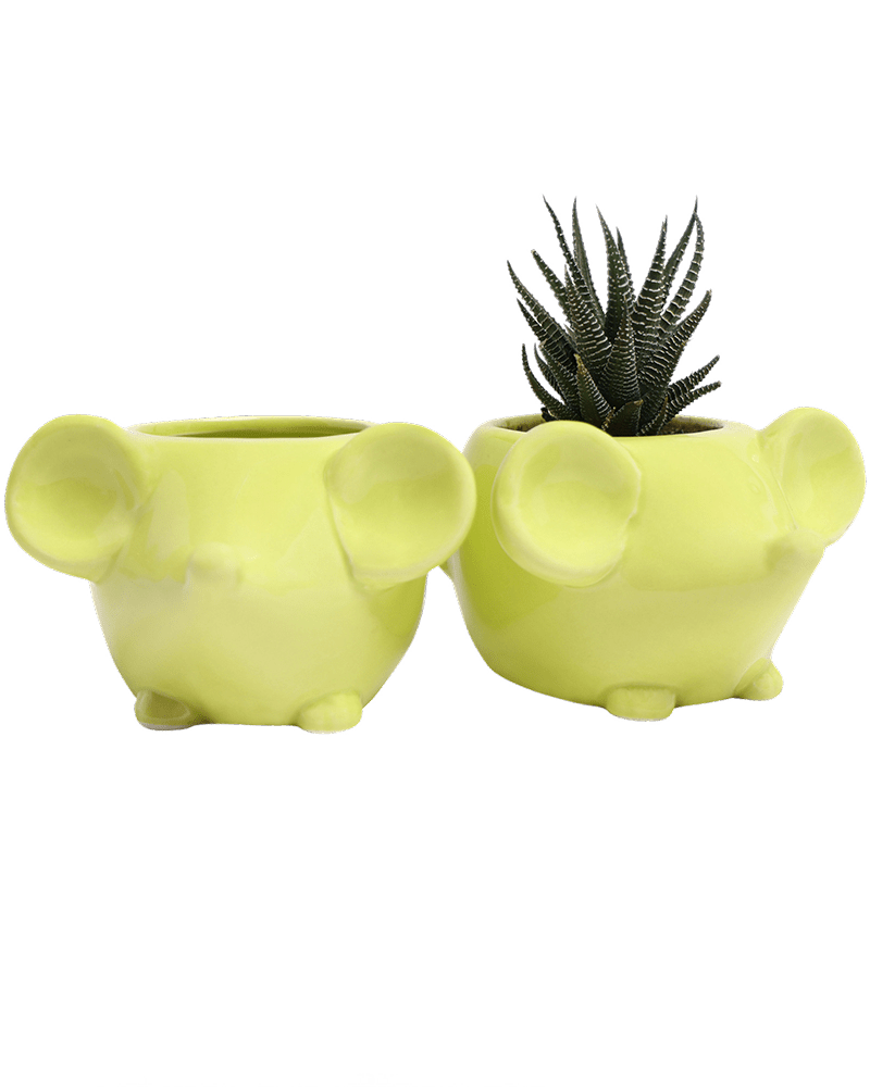 Mouse Ceramic Indoor Plant Pot For Succulents - Chive UK Wholesale
