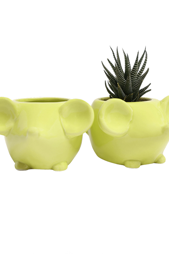 Mouse Ceramic Indoor Plant Pot For Succulents - Chive UK Wholesale