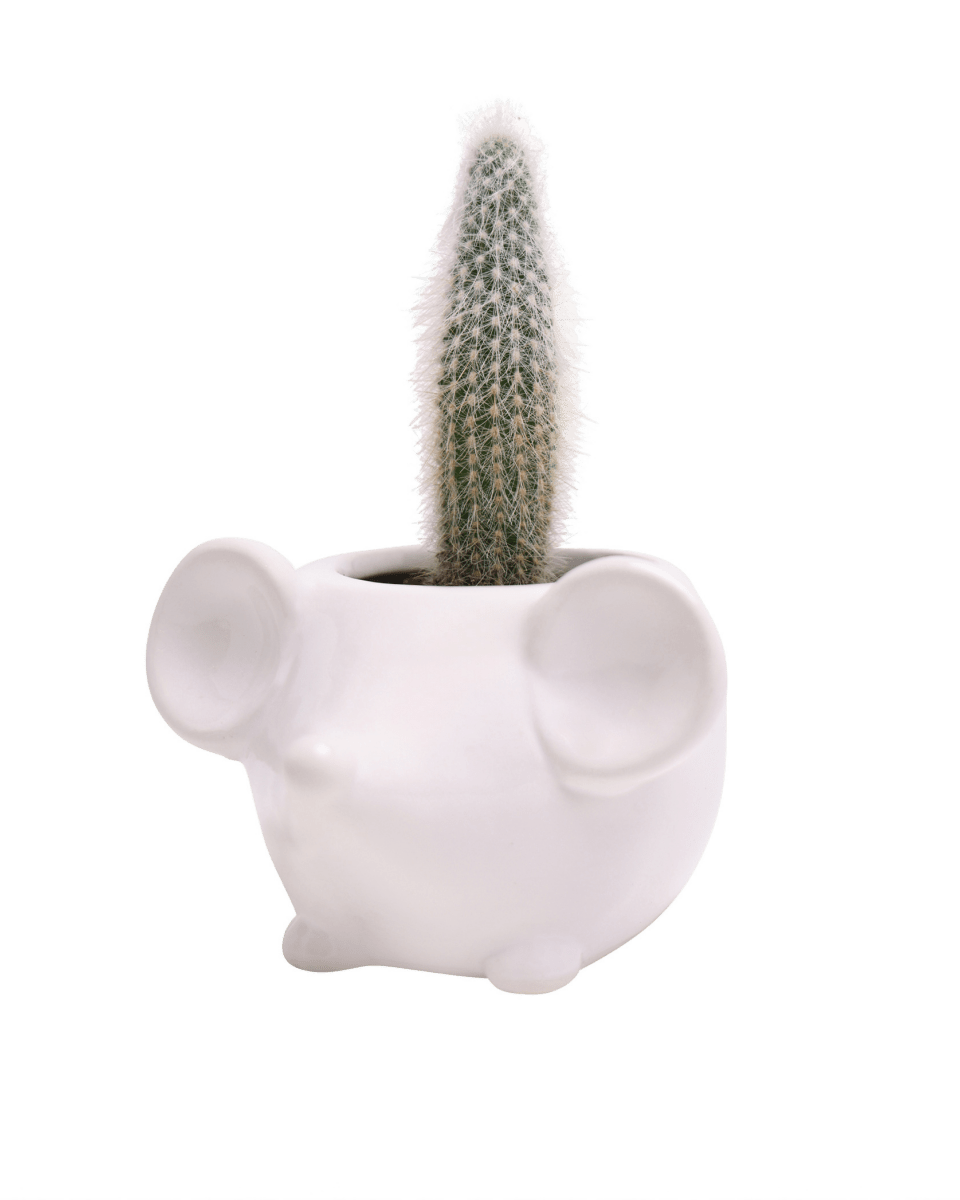 Mouse Ceramic Indoor Plant Pot For Succulents - Chive UK Wholesale
