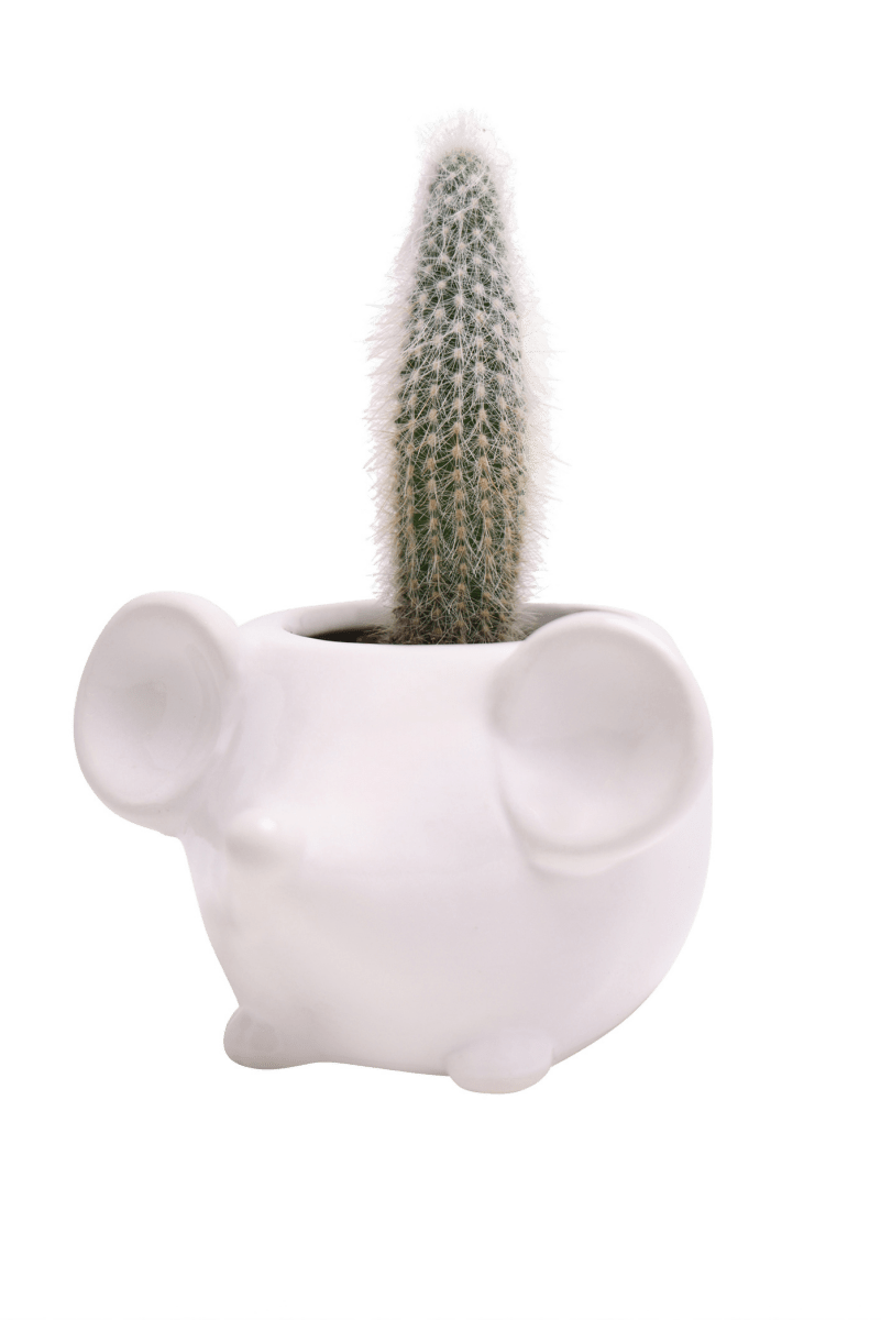 Mouse Ceramic Indoor Plant Pot For Succulents - Chive UK Wholesale