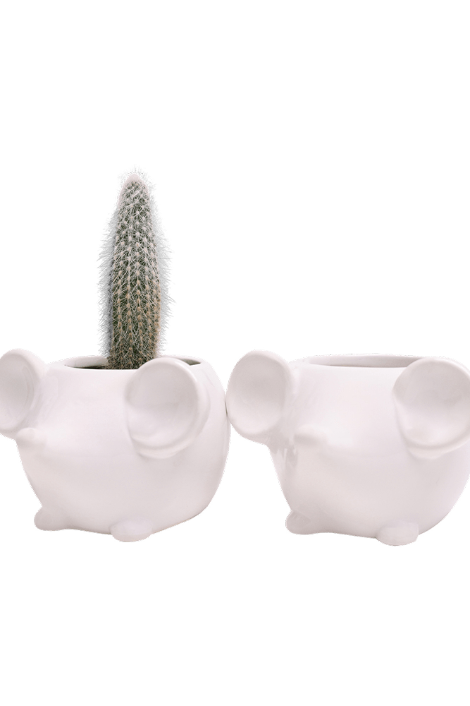 Mouse Ceramic Indoor Plant Pot For Succulents - Chive UK Wholesale