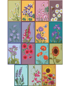 Flower Seeds Packets - 96pc Assortment 2 - Chive UK Wholesale