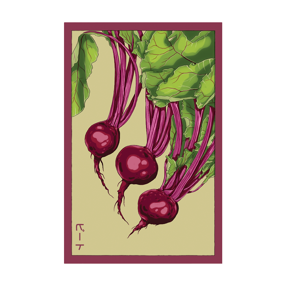 Beet Vegetable Seeds Packet - Chive UK Wholesale