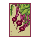Beet Vegetable Seeds Packet - Chive UK Wholesale