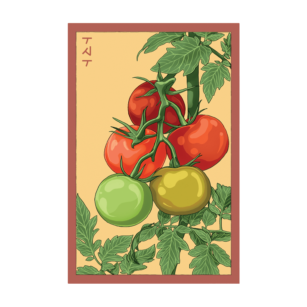 Beefsteak Tomato Vegetable Seeds Packet - Chive UK Wholesale