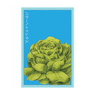 Butterhead Lettuce Vegetable Seeds Packet - Chive UK Wholesale
