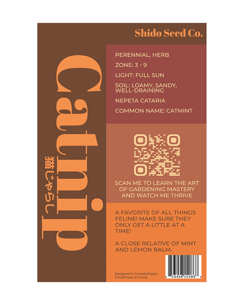 Catnip Flower Seeds Packet - Chive UK Wholesale