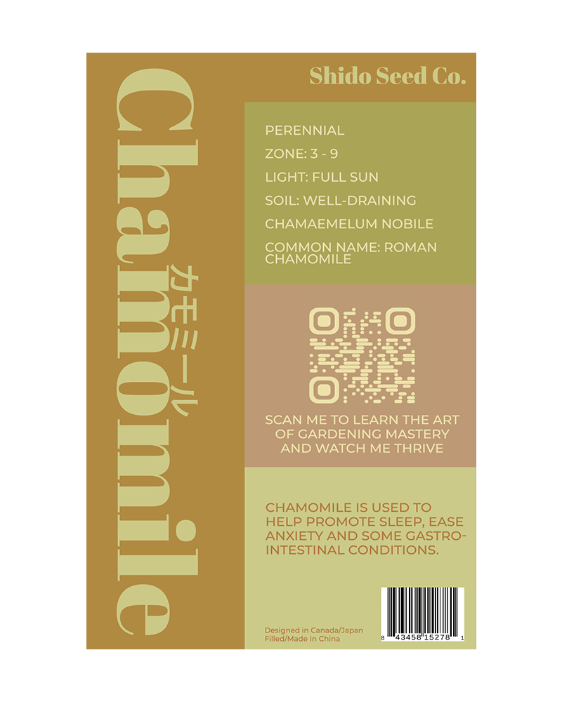 Chamomile Flower Seeds Packet - Chive UK Wholesale