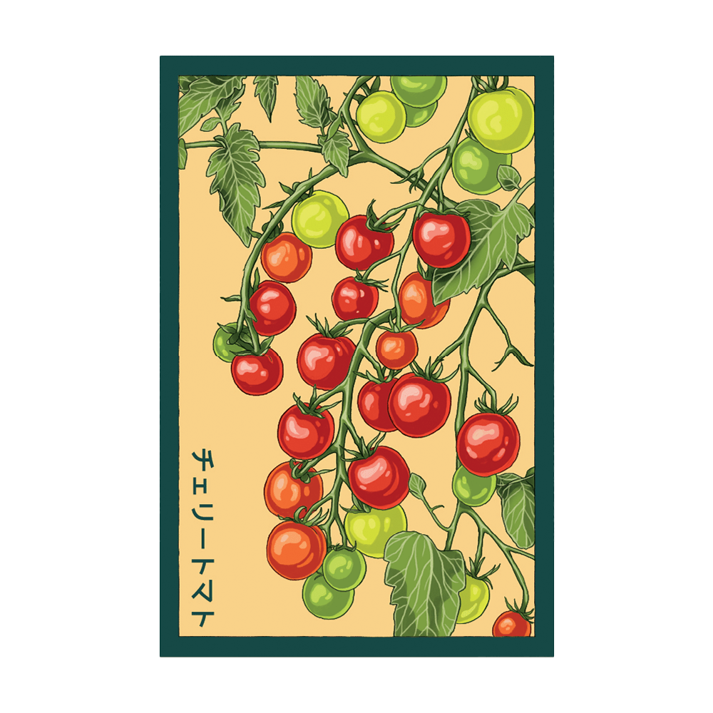 Cherry Tomato Vegetable Seeds Packet - Chive UK Wholesale