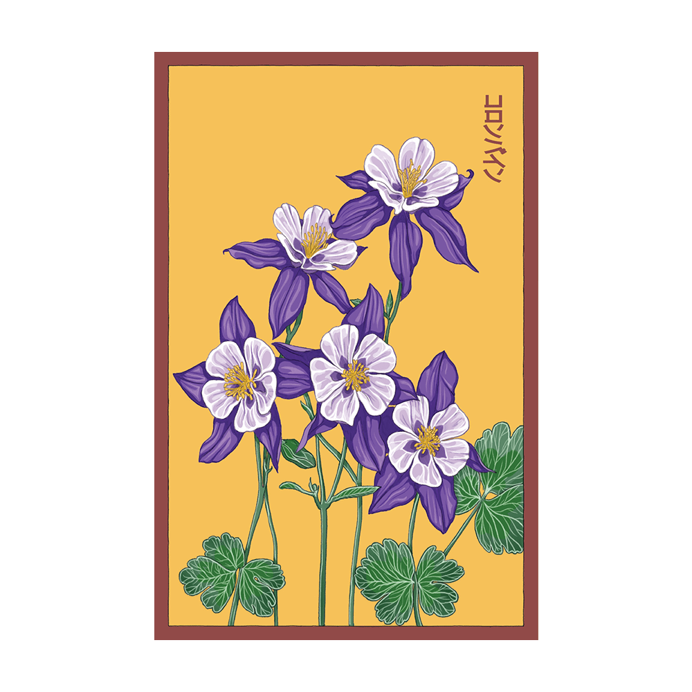 Columbine Flower Seeds Packet - Chive UK Wholesale