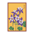 Columbine Flower Seeds Packet - Chive UK Wholesale