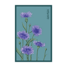 Blue Cornflower Flower Seeds Packet - Chive UK Wholesale