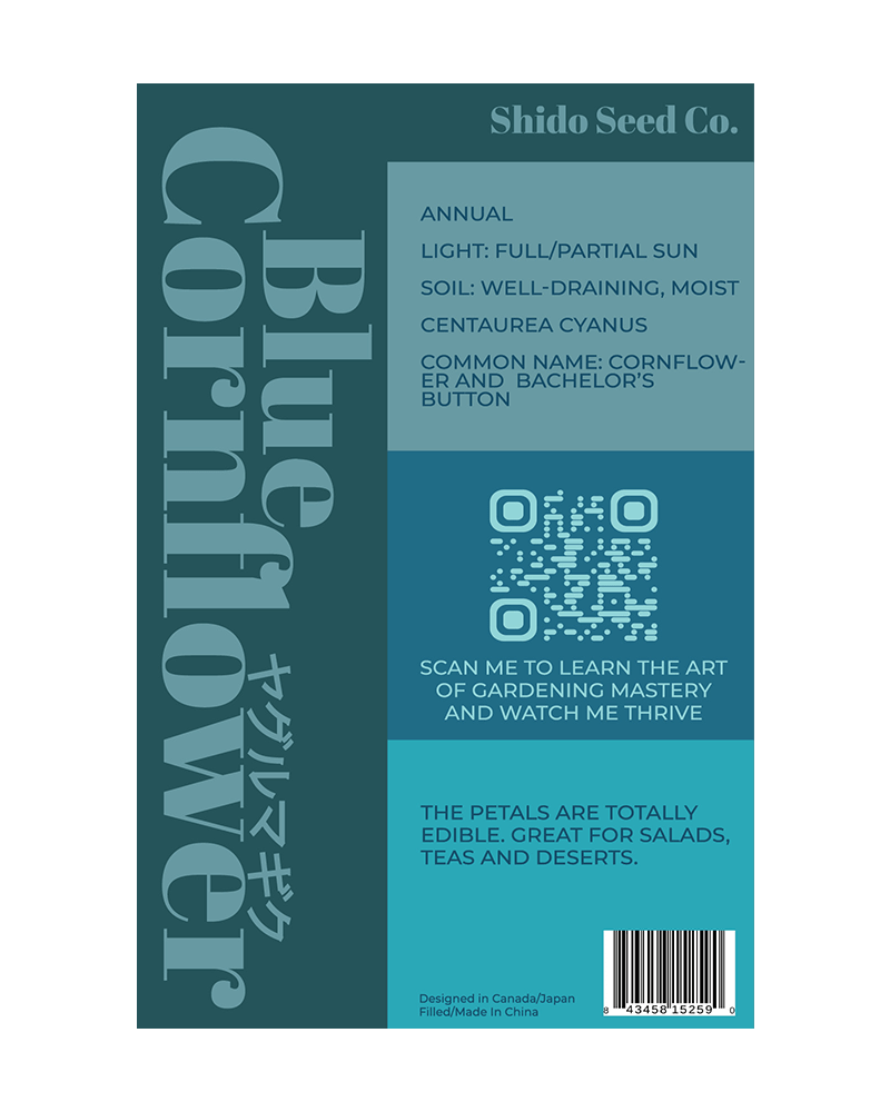 Blue Cornflower Flower Seeds Packet - Chive UK Wholesale