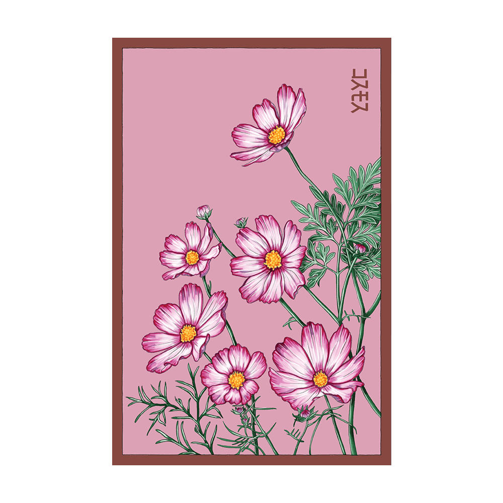 Cosmos Flower Seeds Packet - Chive UK Wholesale