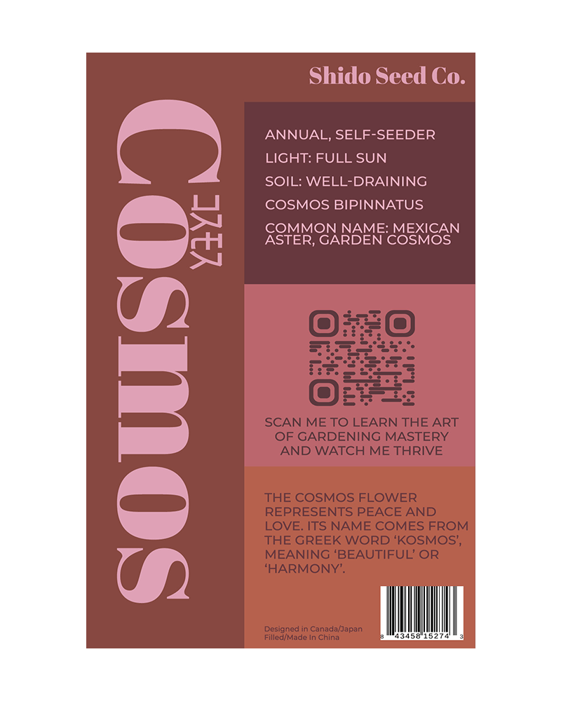 Cosmos Flower Seeds Packet - Chive UK Wholesale