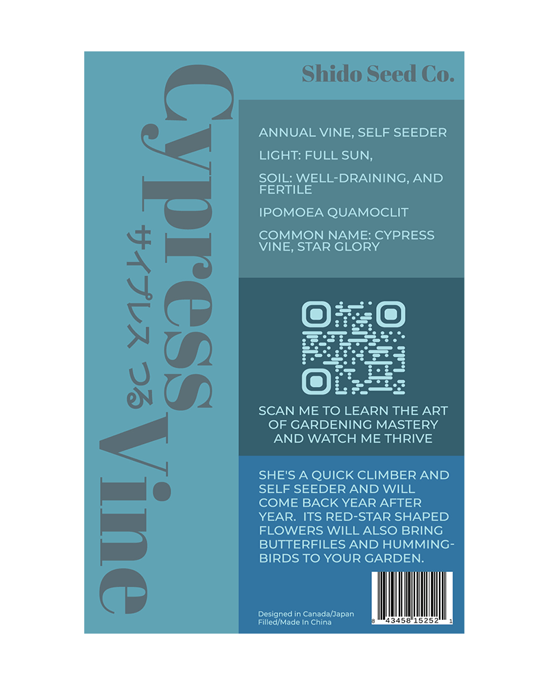 Cypressvine Star Glory Flower Seeds Packet - Chive UK Wholesale