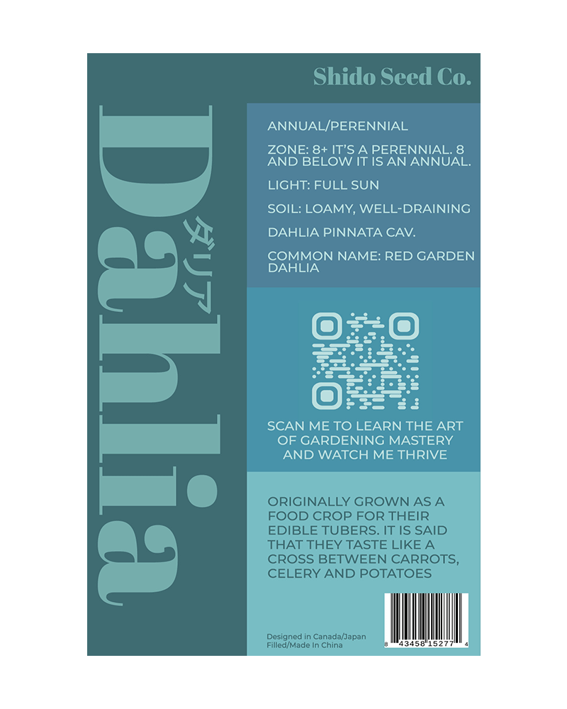 Dahlia Flower Seeds Packet - Chive UK Wholesale