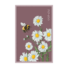 Daisy White Flower Seeds Packet - Chive UK Wholesale