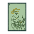 Dill Herb Seeds Packet - Chive UK Wholesale