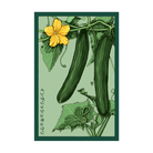English Cucumber Vegetable Seeds Packet - Chive UK Wholesale