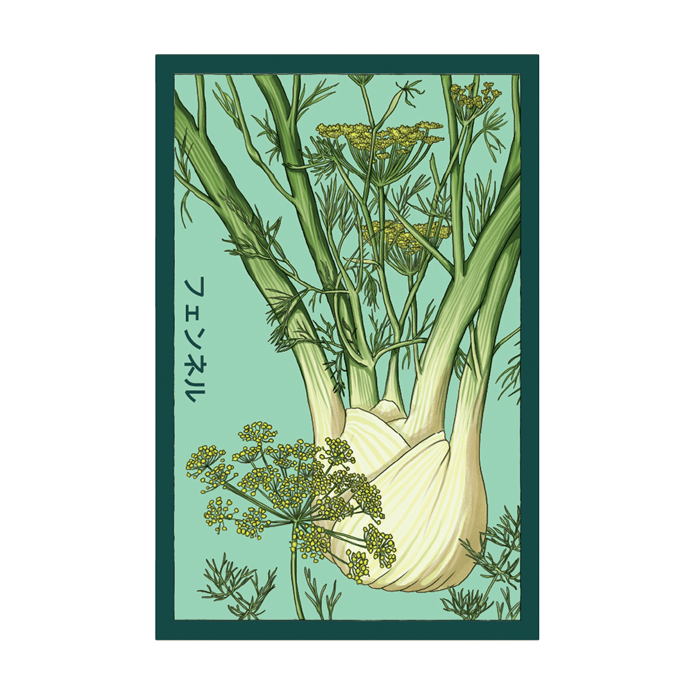 Fennel Vegetable Seeds Packet - Chive UK Wholesale